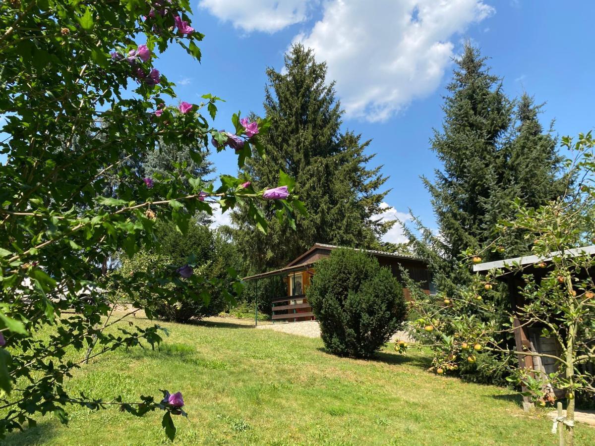 Waldfrieden Bungalow Garnsdorf Buitenkant foto